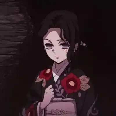 鬼灭之刃珠世头像