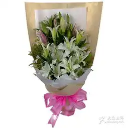 娟娟鲜花店rbeqwvf3ne0iaaaaaamkoeimigeaae3swnwgvmaawq5316图片天津购物