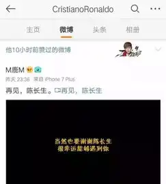 专栏文章
