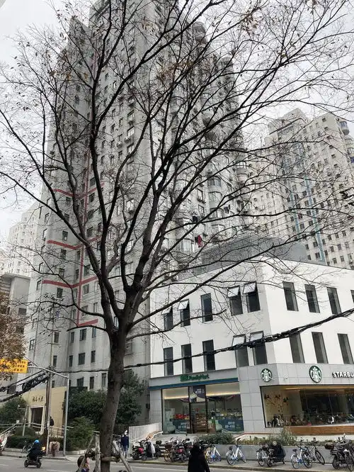 2号线中山公园地铁站5号出口限招1女生合租