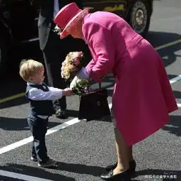 英国女王又双叒叕要退休了