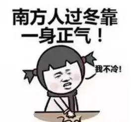 北方的暖气到底有多热
