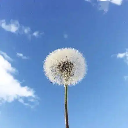 140张个性微信头像