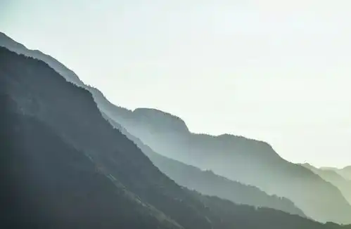 风水大师断男女这样的房子人丁不旺,家运难畅