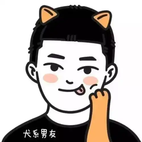每日头像这世界只有你明白我