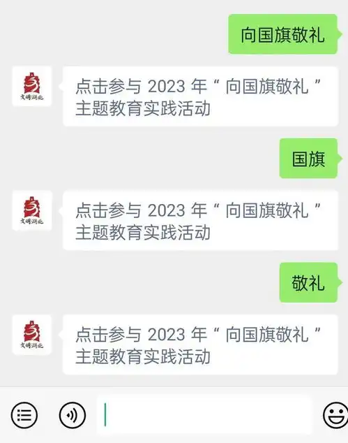 湖北2023年向国旗敬礼主题教育实践活动启动