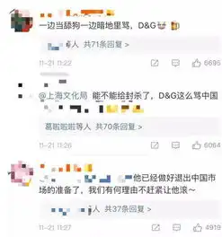 dg骂中国人是屎陈坤李冰冰章子怡等干得漂亮