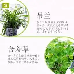 不是所有绿植都适合养在卧室,快对照看看