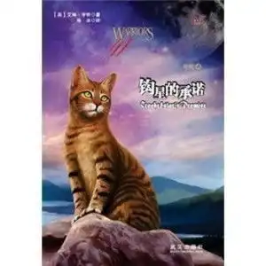 钩星的承诺