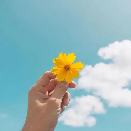 早安让人看了舒服的说说,拿去发朋友圈吧