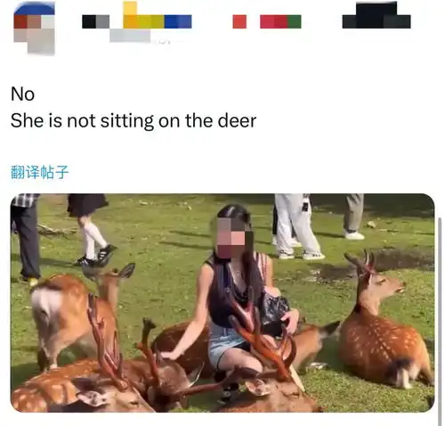 外网疯传中国游客坐鹿视频,日本网友骂翻了,真相却疯狂打脸