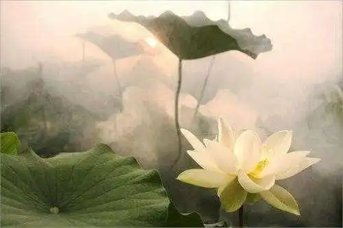 佛学