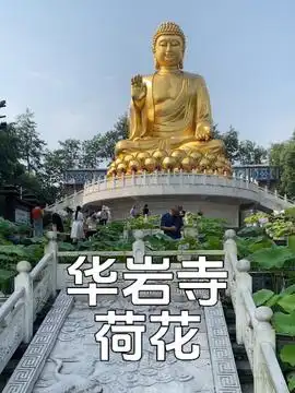 行走在重庆的头条主页今日头条