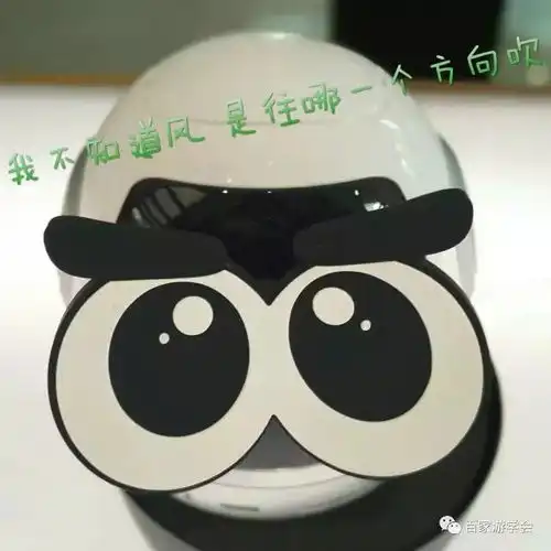 越夜越美丽宝山昆虫记