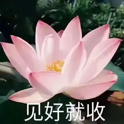 最低9胶州的夏天要崩还有两场雨排队中秋裤君已经候场