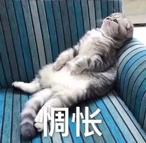 喜来教你如何正确回避老妈清奇的脑回路