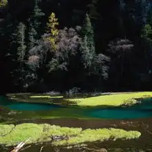 四季美景179