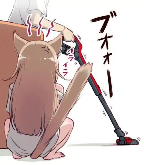 猫咪壁纸