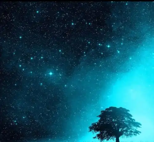 2021年1月18日19日20日,运势开挂的3个星座,运势旺起来,会喜鹊登门