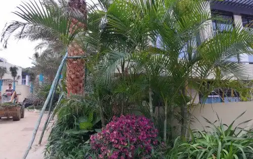 测试一个超长简介的文章