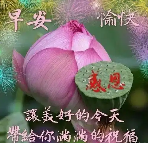 早安情感心语励志早安心语哲理感悟配图片
