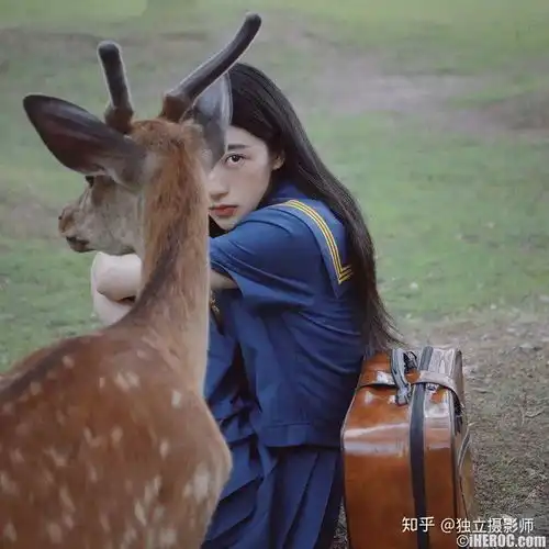 谜鹿少女摄影师海螺壳