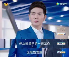 极光之恋何静文流产了,韩星子被封杀雪藏,追梦之路何时完成