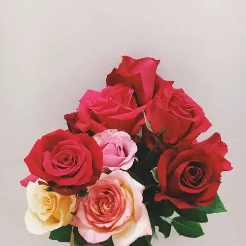 我的书和花