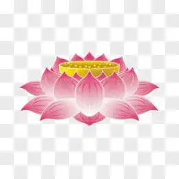 莲花图片素材免费莲花png设计图片大全图精灵
