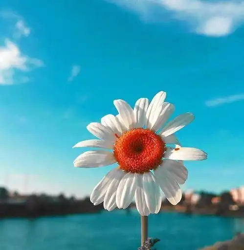 生活告诉我的十条人生箴言