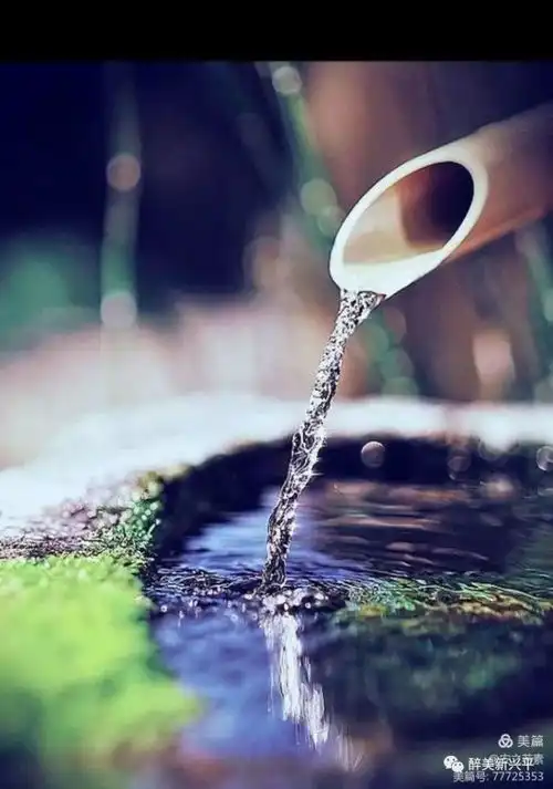 散曲