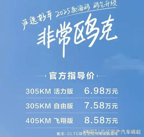 升级不加价,16项全系标配,2025款海鸥让出行更舒心
