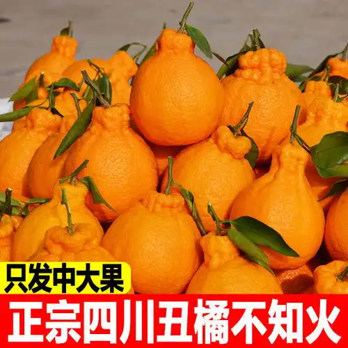 正宗四川丑橘不知火10斤装新鲜水果丑八怪柑桔子2斤