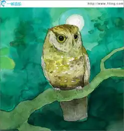 storyboards专辑封面下载