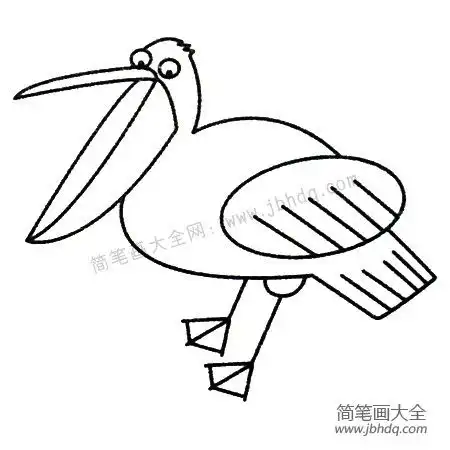 鹈鹕图片