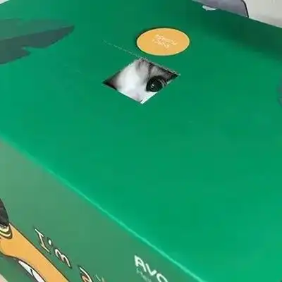 动物头像丨和你躲猫猫腾讯新闻