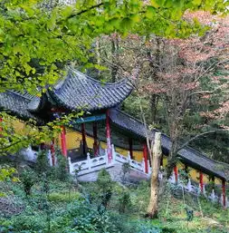 九华山名山,名佛,名道场,走一遭这莲花佛国吧