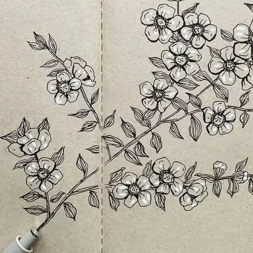 手绘线描素材,收藏这一波,连书籍都不用买了