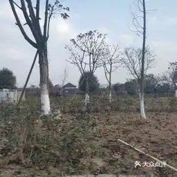 20210315田园阳光林生态园地址,田园阳光林生态园电话,田园阳光林生态园图片360地图
