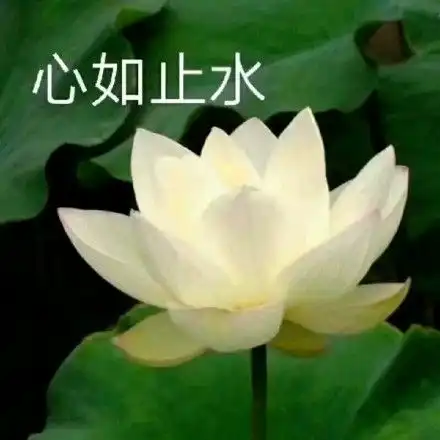 李小璐疑擦边佛媛,大量不雅照遭疯传