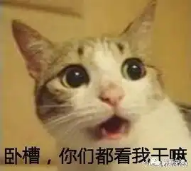 寝室卧谈会大揭秘