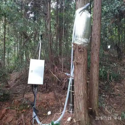 森林树木水分茎流根区水分运移立体观测系统