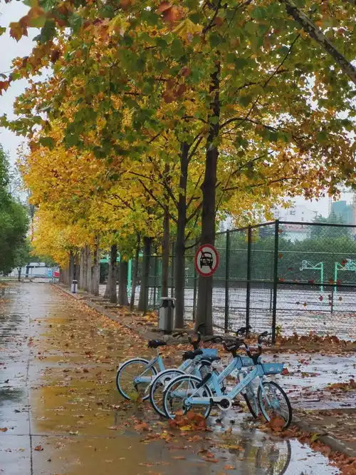 雨中校园,氛围感拉满