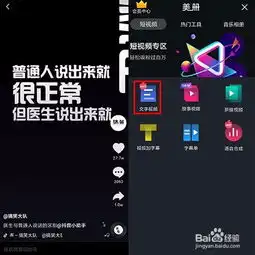 什么软件会提供抖音热门所需的模板和素材