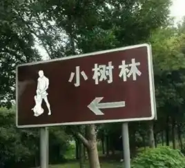 朕就是这么没见过世面每日轻松一刻10月27日晚间版