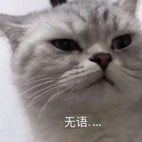 无语郭老师真太恶心