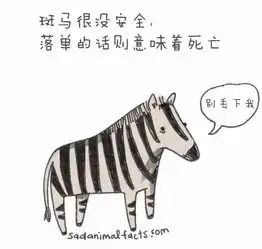 涨知识丨呆萌动物冷知识,知道5个以上算你厉害