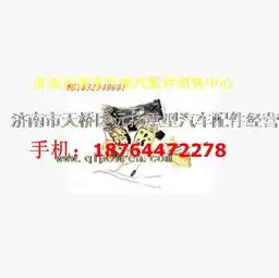 重汽金王子车门锁总成wg1632340001图片