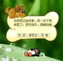 和青春告别qq宠物即将停运