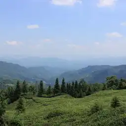 测试一个超长简介的文章